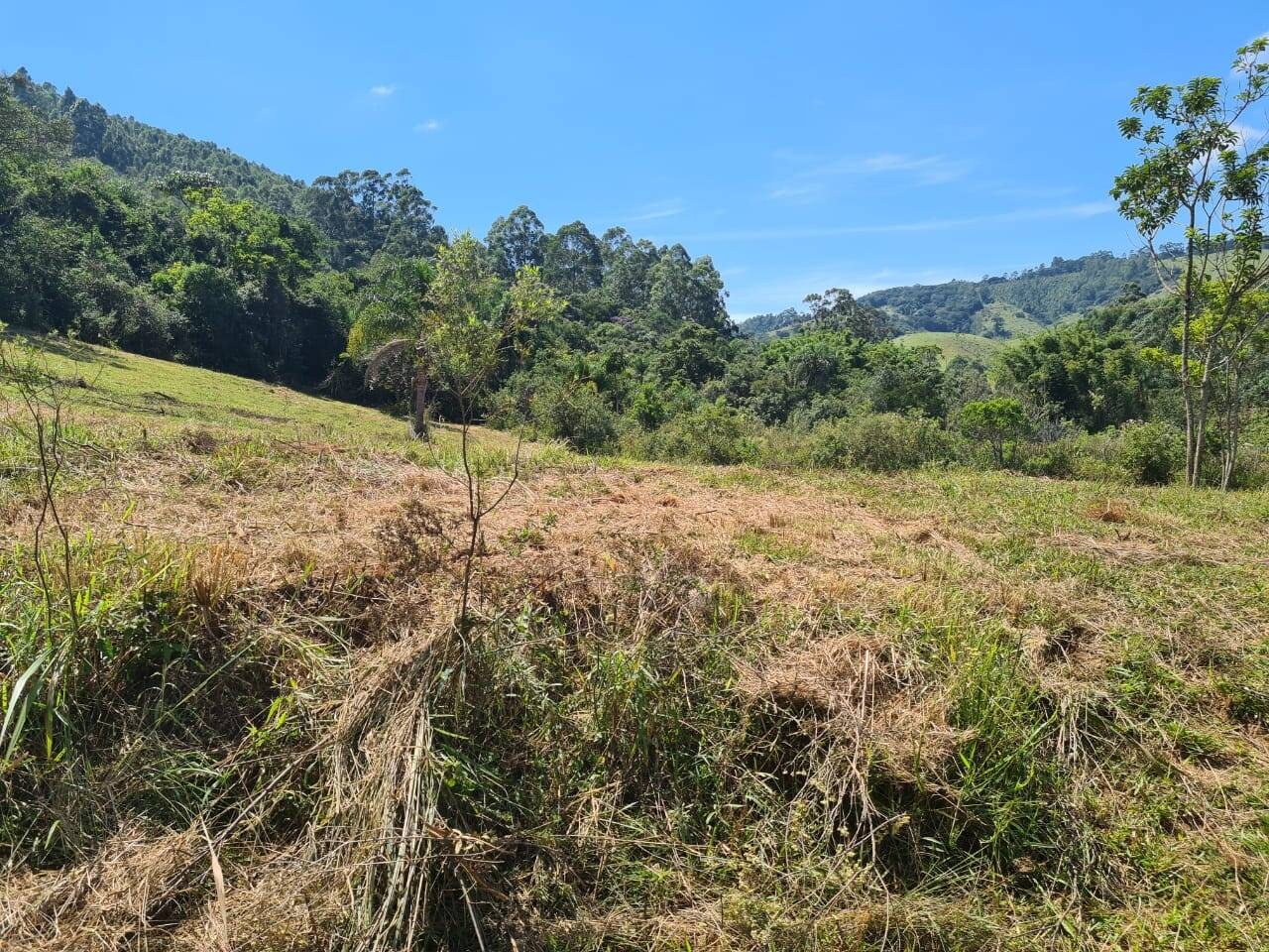 Sítio, 1 quarto, 19 hectares - Foto 8