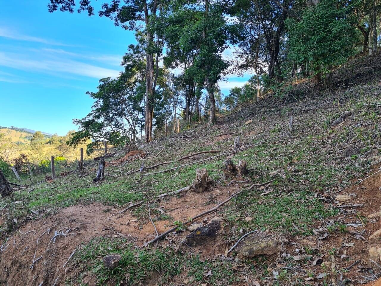 Sítio, 2 quartos, 6 hectares - Foto 16