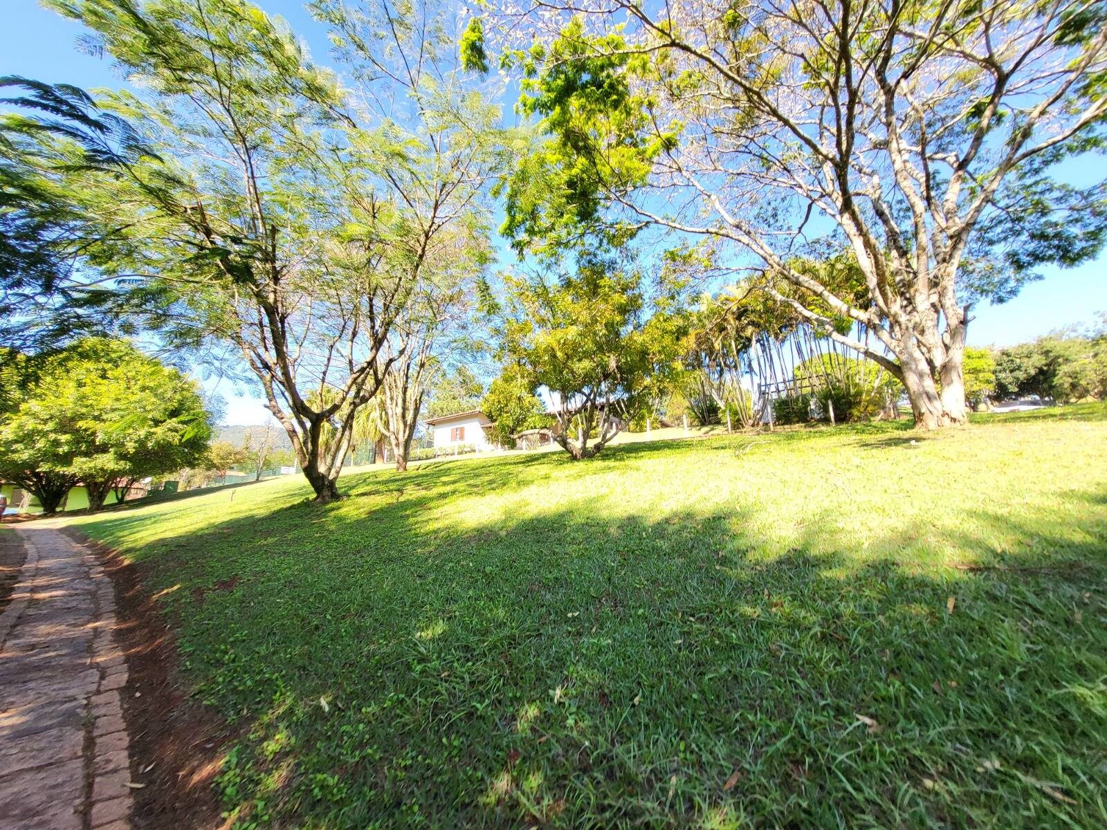 Sítio, 7 quartos, 3 hectares - Foto 41