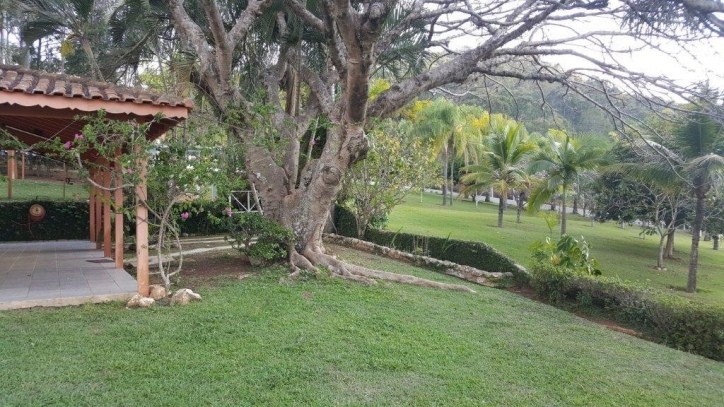Sítio, 3 quartos, 3 hectares - Foto 35