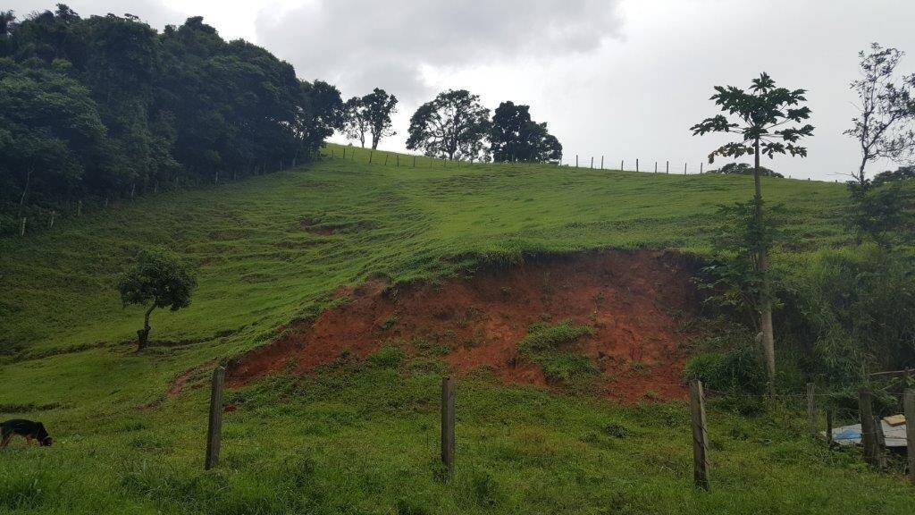 Chácara, 2 quartos, 10 hectares - Foto 11