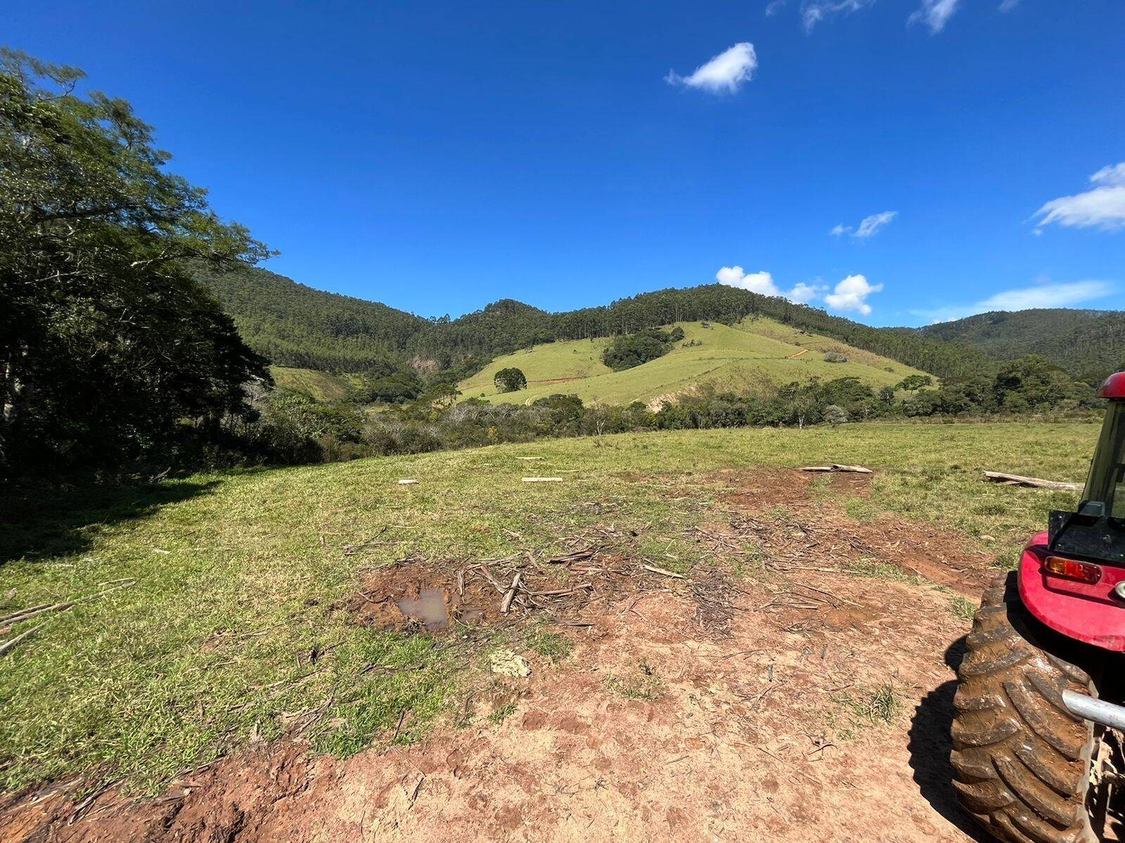 Chácara, 4 quartos, 196 hectares - Foto 14