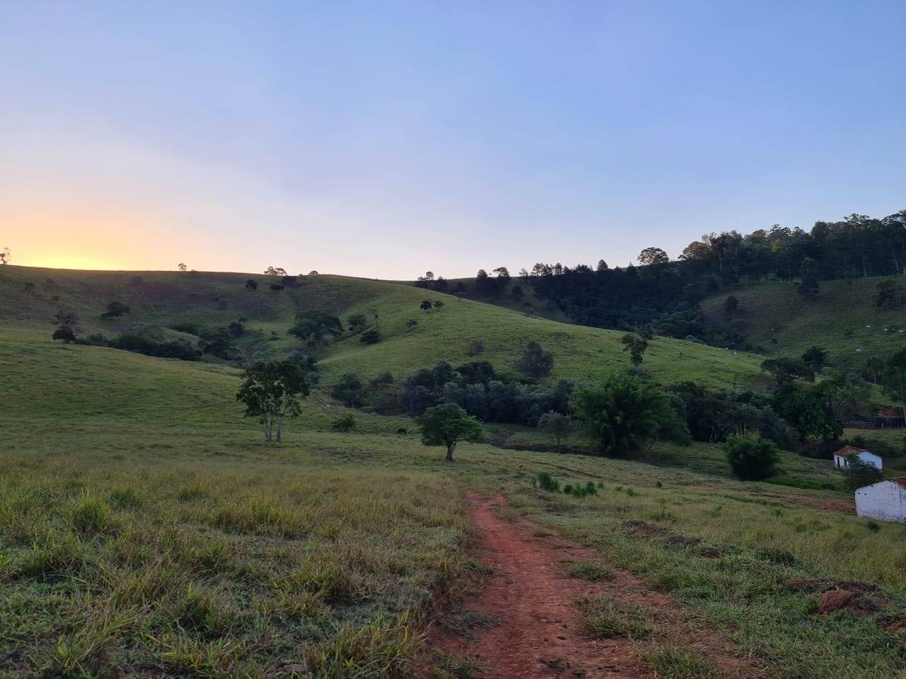 Sítio, 4 quartos, 605 hectares - Foto 15