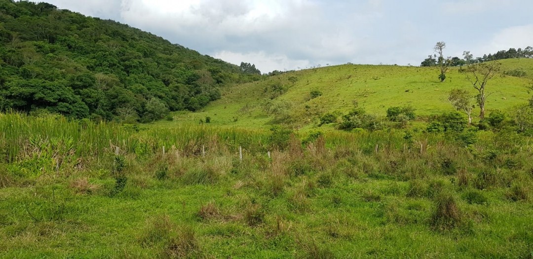 Sítio, 5 quartos, 27 hectares - Foto 11
