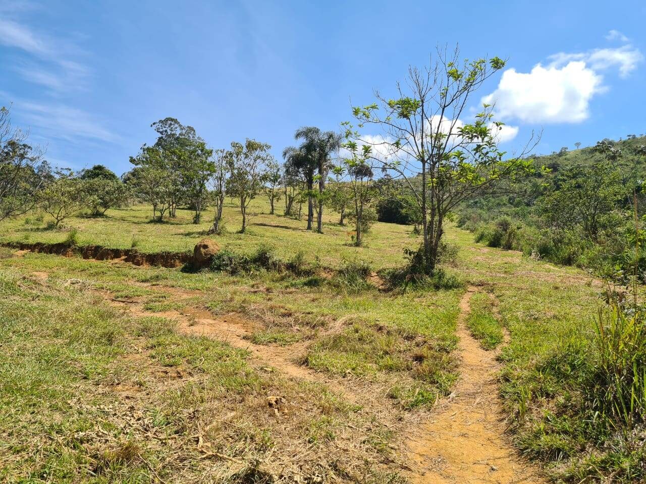 Sítio, 1 quarto, 19 hectares - Foto 4