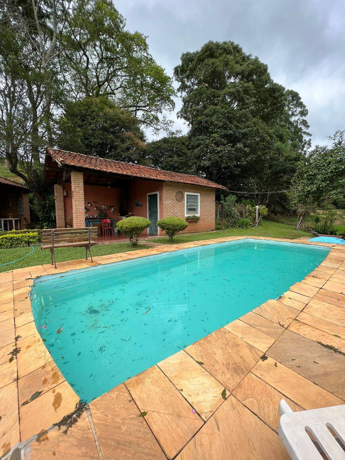 Sítio, 6 quartos, 15 hectares - Foto 10