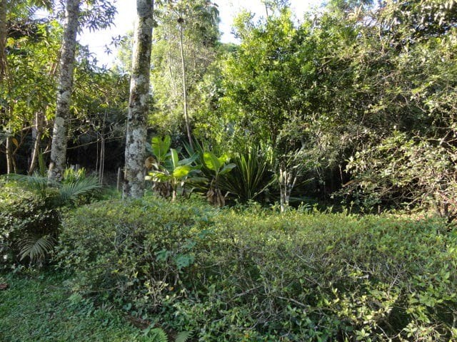 Sítio, 3 quartos, 4 hectares - Foto 12