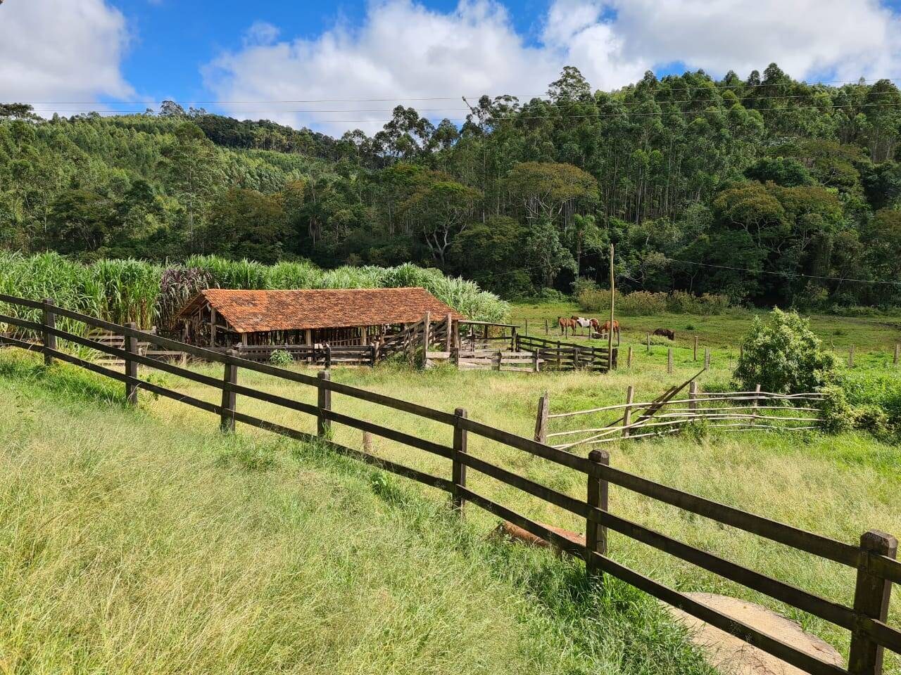 Sítio, 3 quartos, 51 hectares - Foto 10