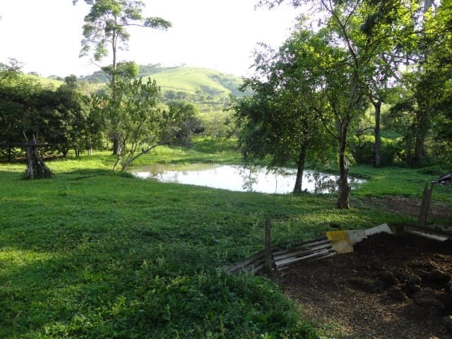 Sítio, 3 quartos, 4 hectares - Foto 25