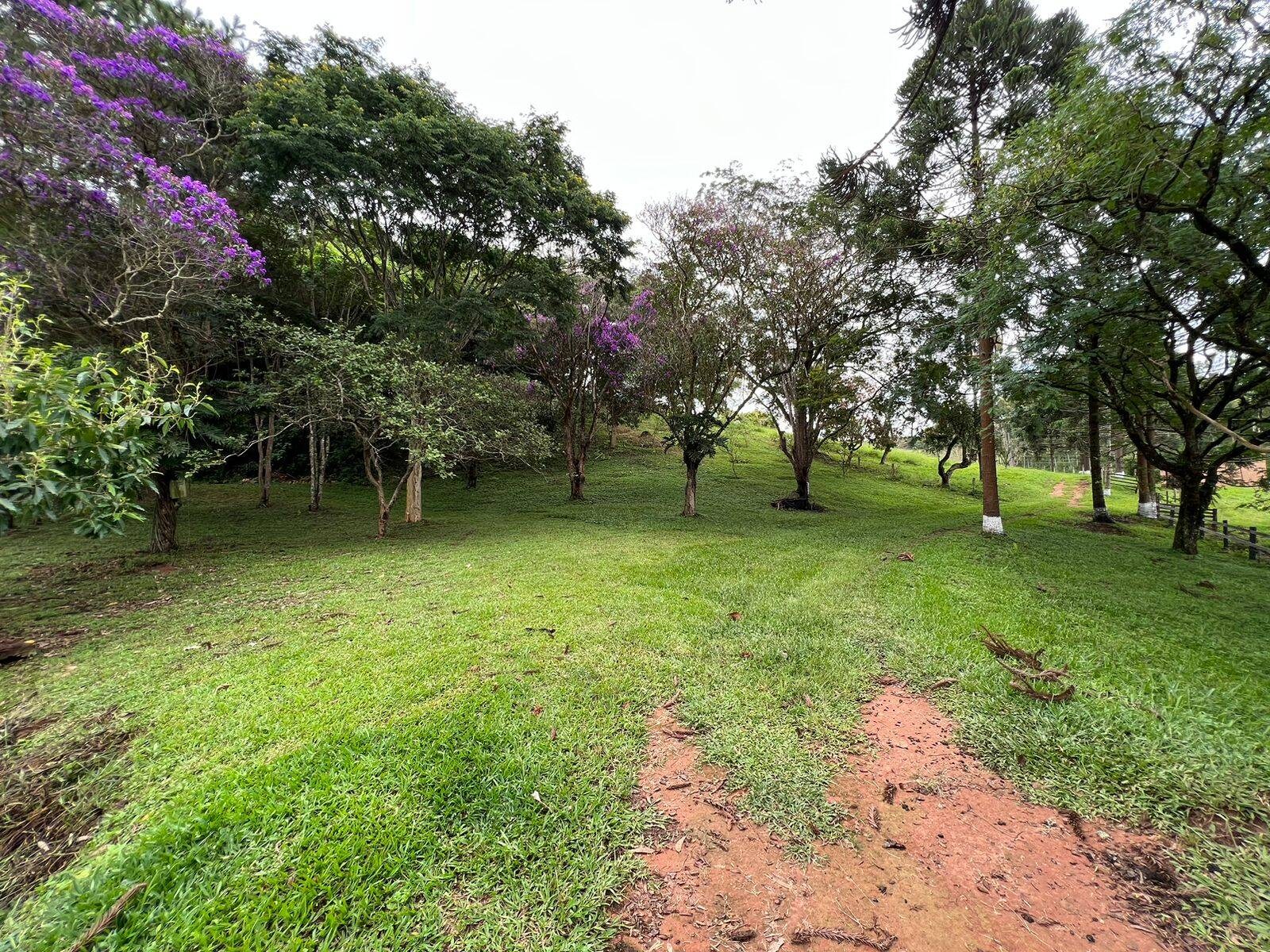 Sítio, 6 quartos, 15 hectares - Foto 24