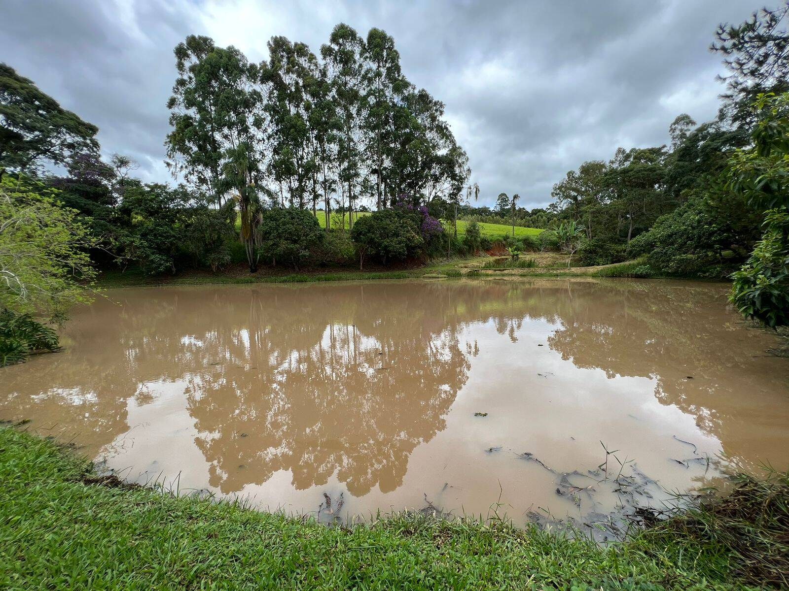 Sítio, 6 quartos, 15 hectares - Foto 26