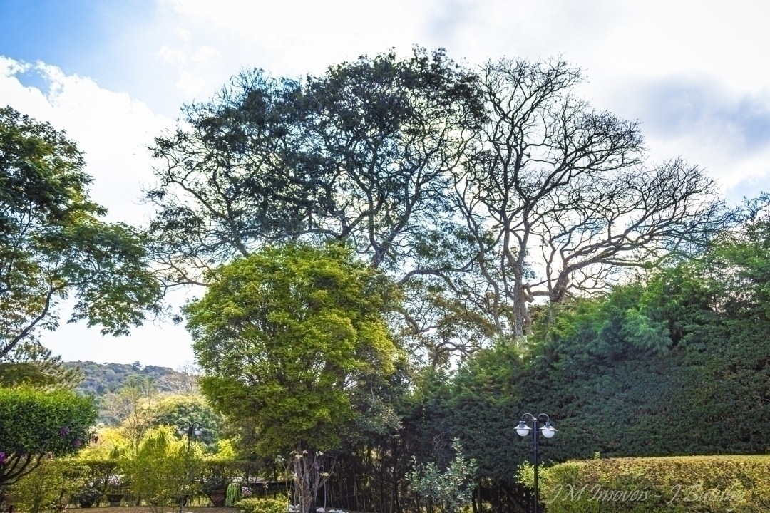 Chácara, 5 quartos, 5000 m² - Foto 56