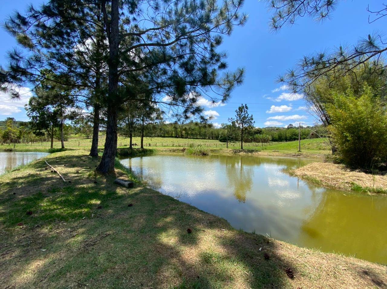 Sítio, 6 quartos, 6 hectares - Foto 44