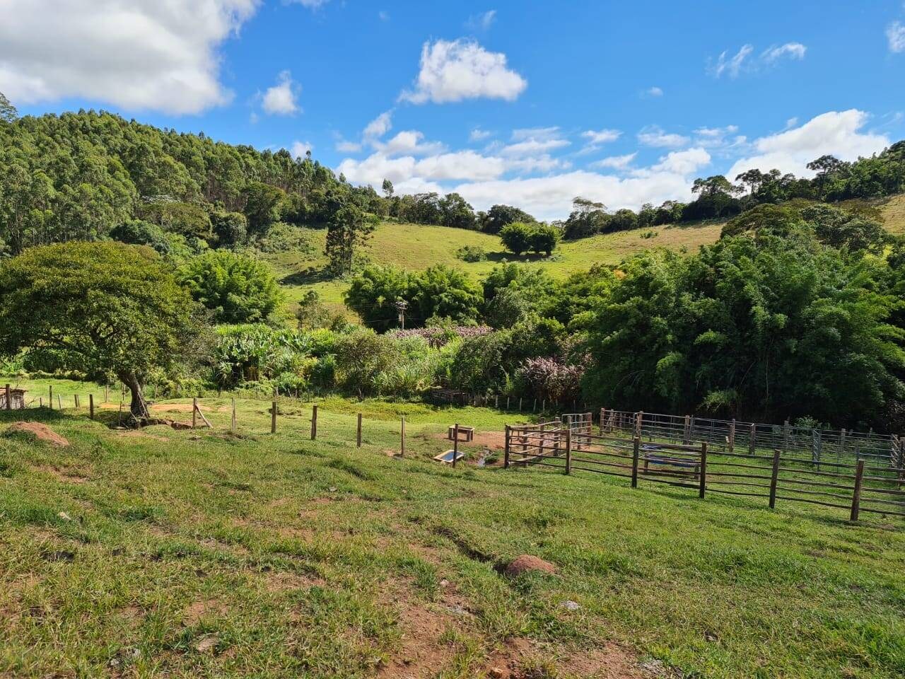 Sítio, 3 quartos, 51 hectares - Foto 1