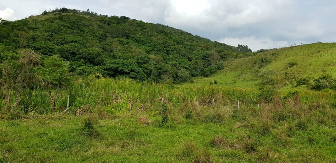 Sítio, 5 quartos, 27 hectares - Foto 12
