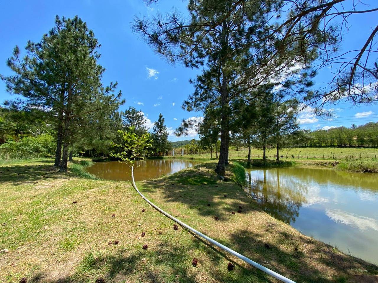 Sítio, 6 quartos, 6 hectares - Foto 43