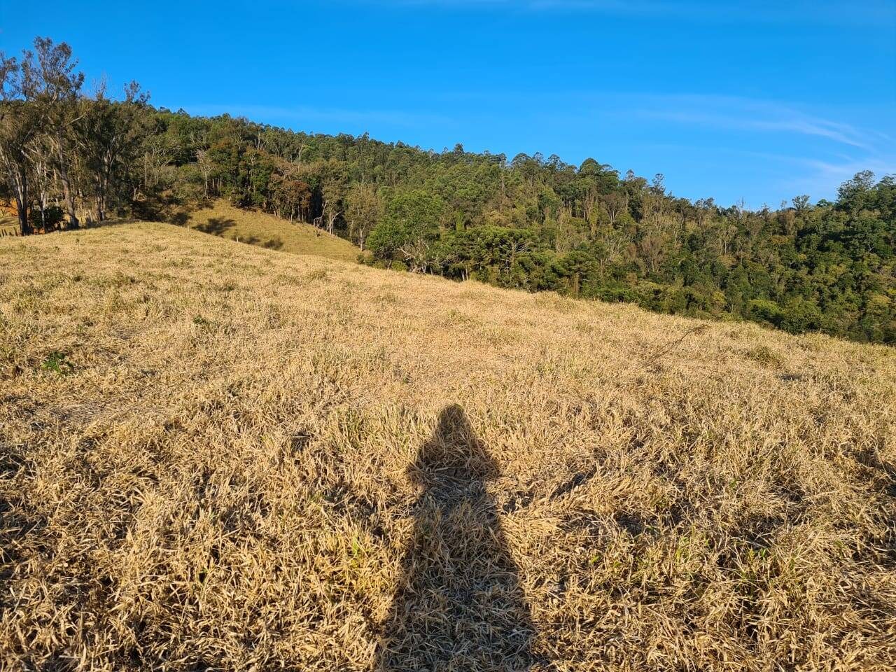 Chácara, 2 quartos, 10 hectares - Foto 30
