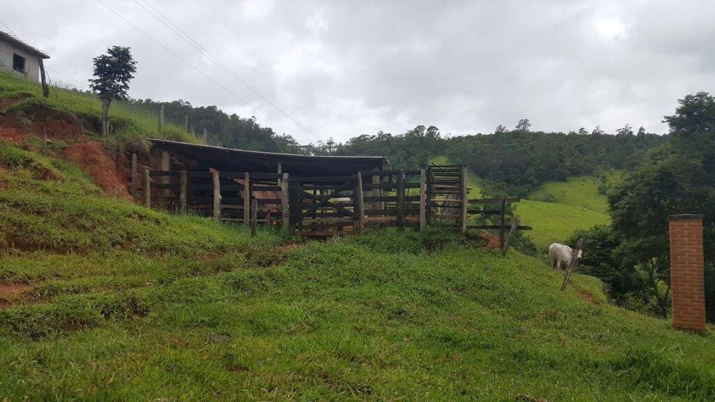 Chácara, 2 quartos, 10 hectares - Foto 9