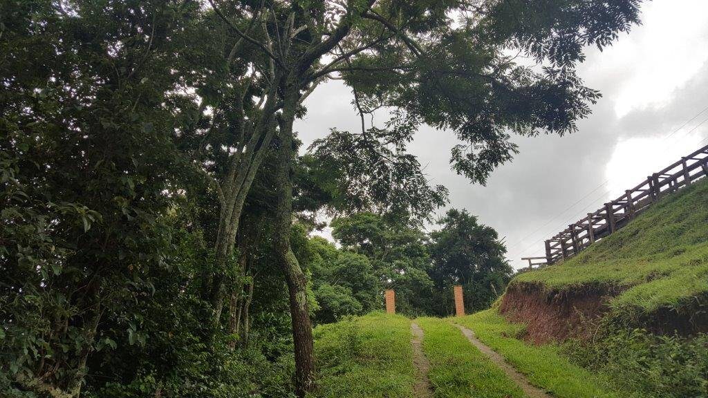 Chácara, 2 quartos, 10 hectares - Foto 10