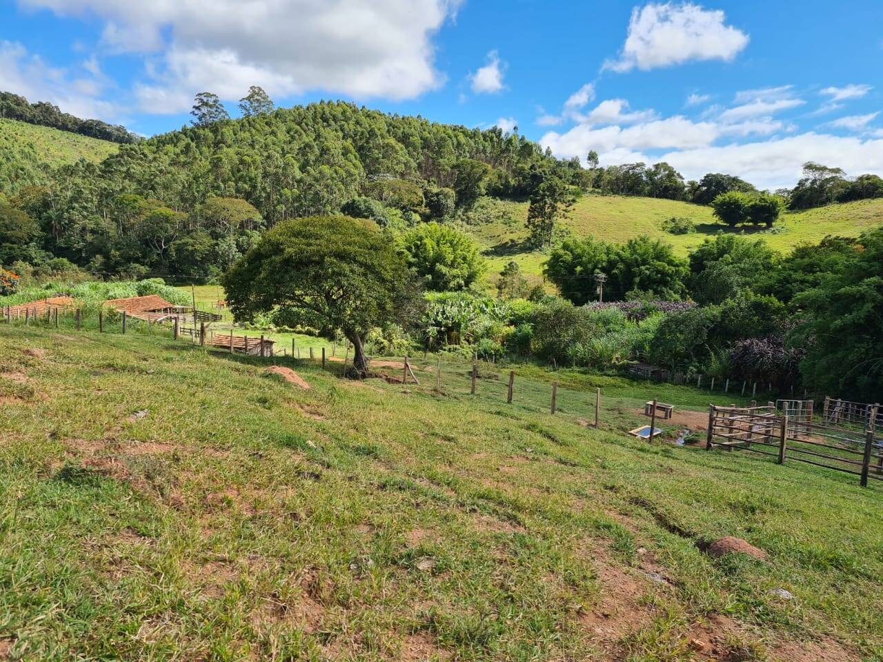 Sítio, 3 quartos, 51 hectares - Foto 2