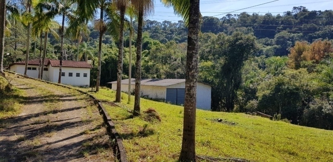 Chácara, 7 quartos, 4 hectares - Foto 8