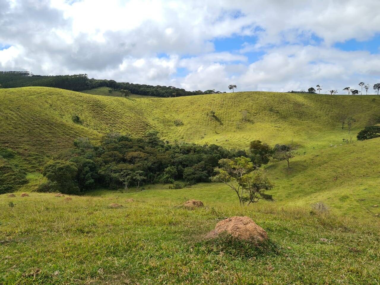 Sítio, 3 quartos, 51 hectares - Foto 23