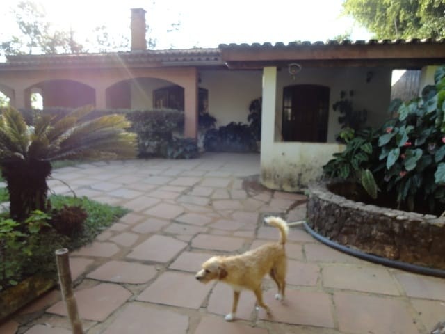Sítio, 3 quartos, 4 hectares - Foto 7