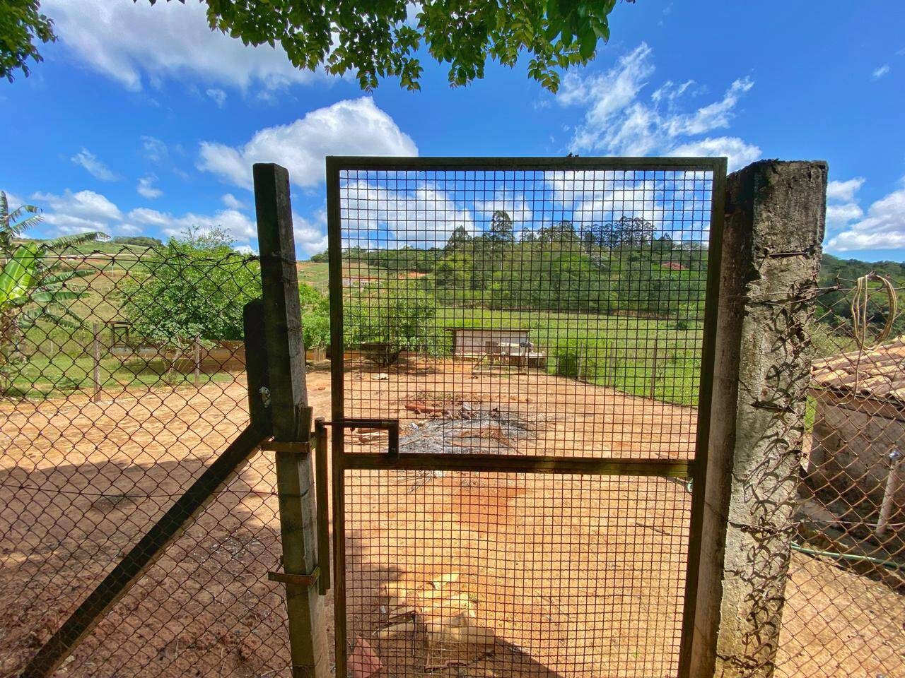 Sítio, 6 quartos, 6 hectares - Foto 12