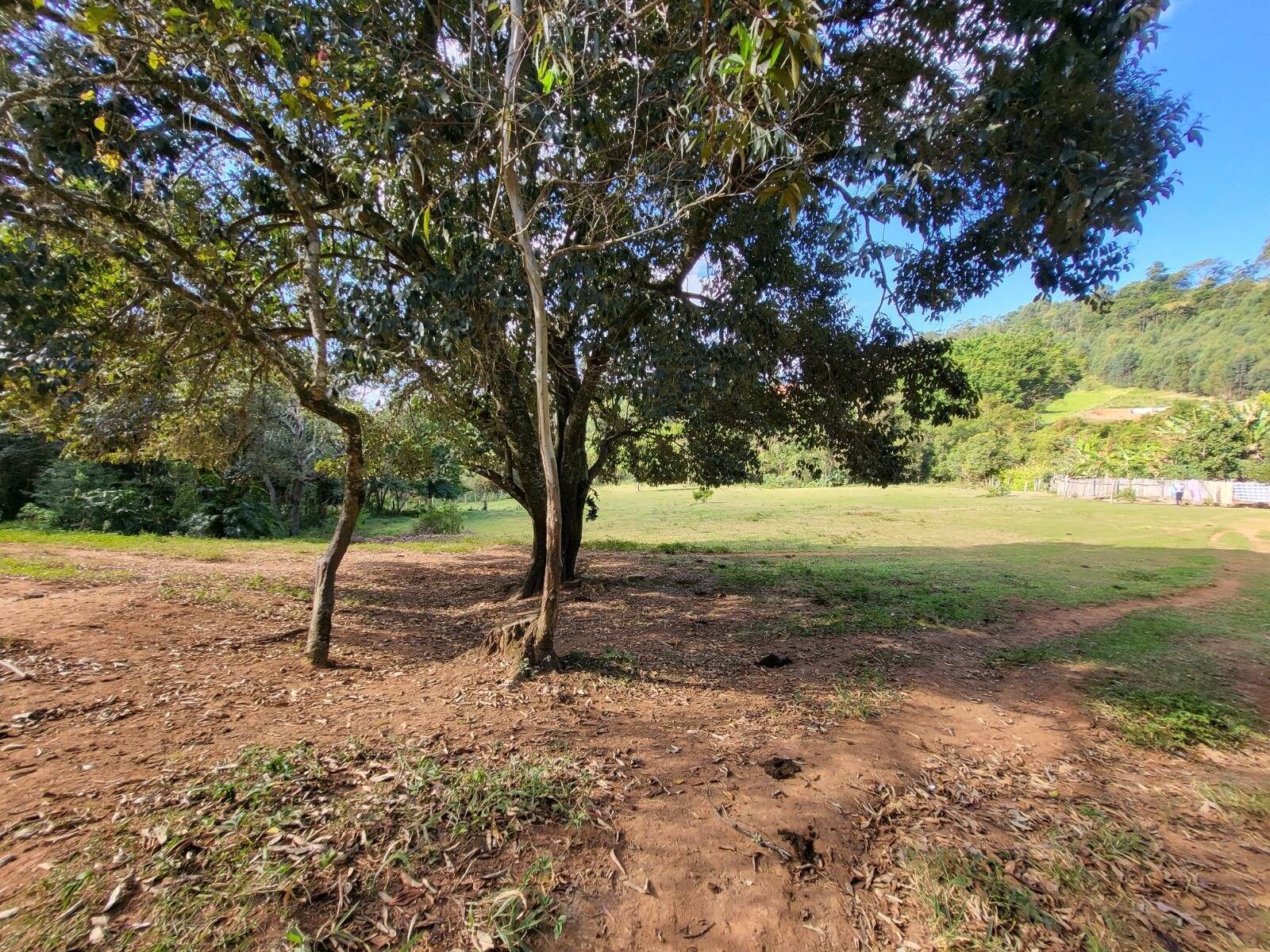 Sítio, 3 quartos, 4 hectares - Foto 8