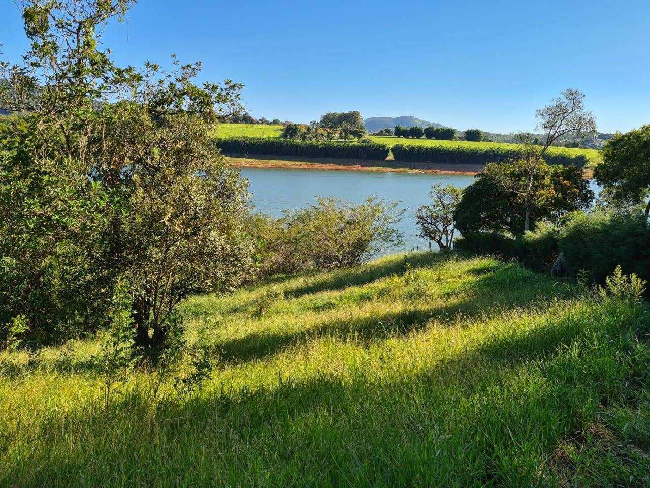 Terreno, 2 hectares - Foto 11