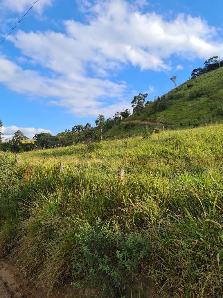 Terreno, 1000 m² - Foto 3