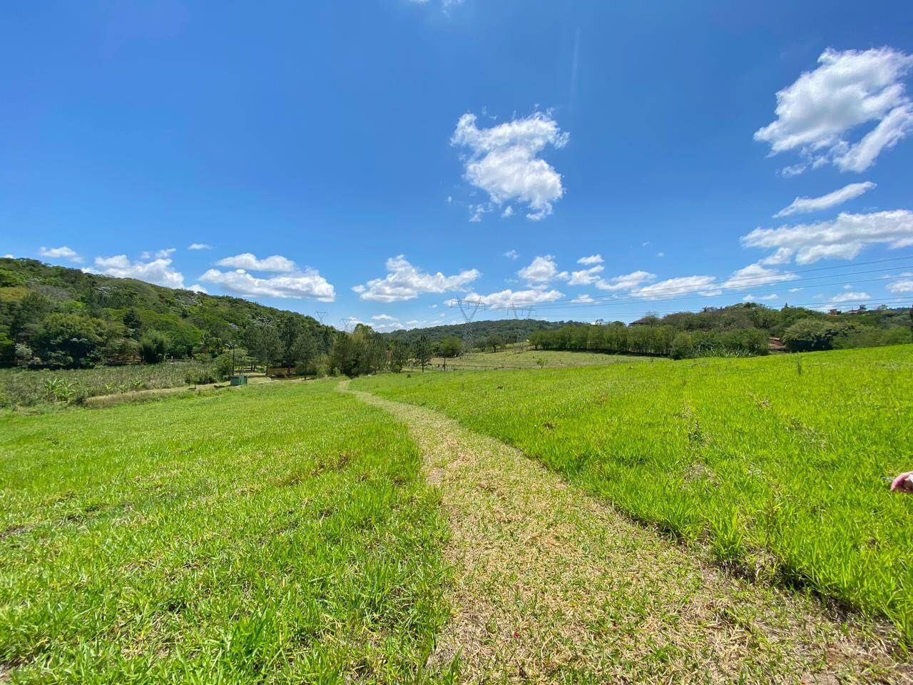 Sítio, 6 quartos, 6 hectares - Foto 36