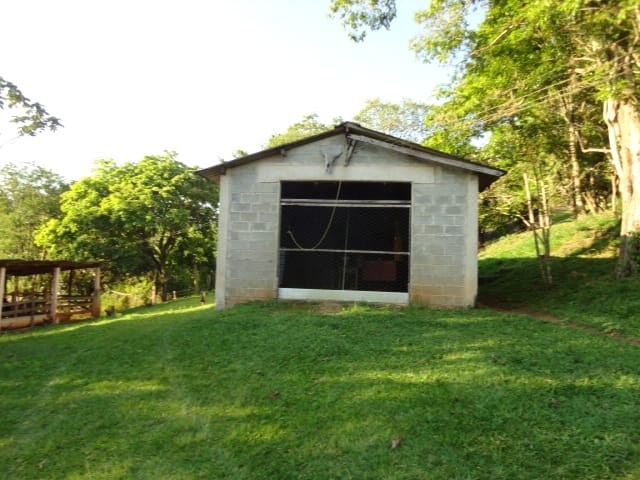 Sítio, 3 quartos, 4 hectares - Foto 24