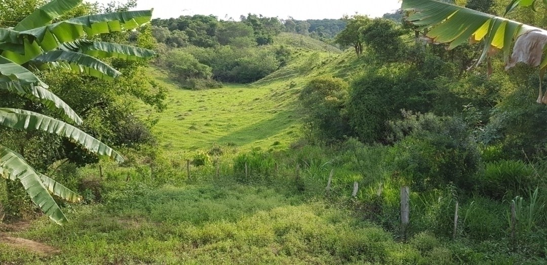 Sítio, 5 quartos, 27 hectares - Foto 17