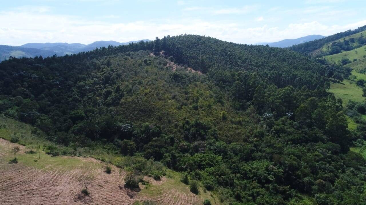 Sítio, 1 quarto, 19 hectares - Foto 17