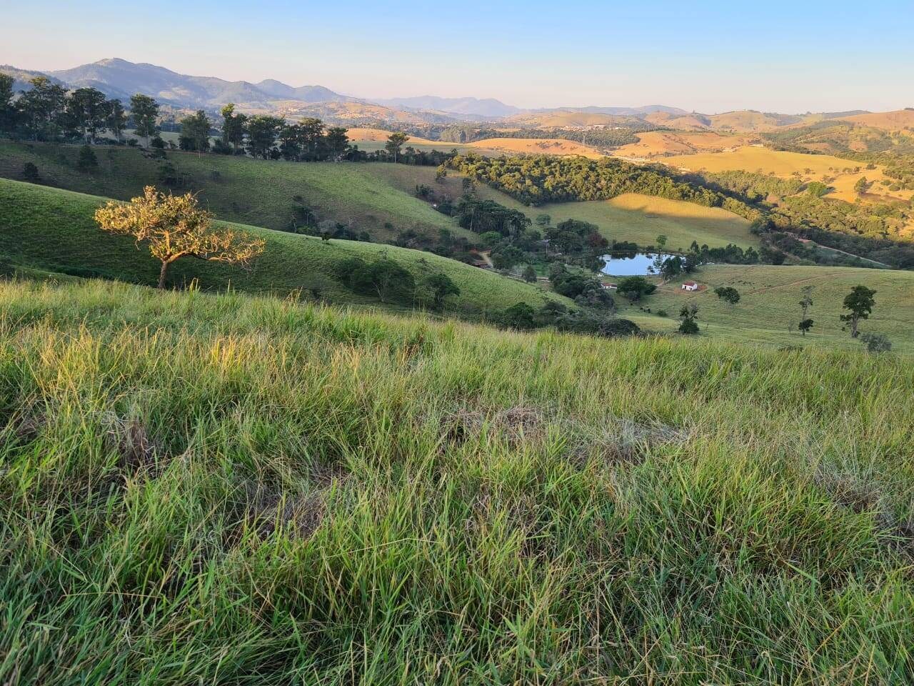 Sítio, 4 quartos, 605 hectares - Foto 24