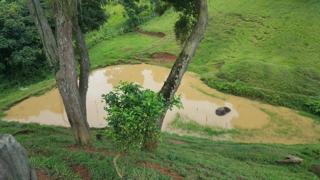 Chácara, 2 quartos, 10 hectares - Foto 12