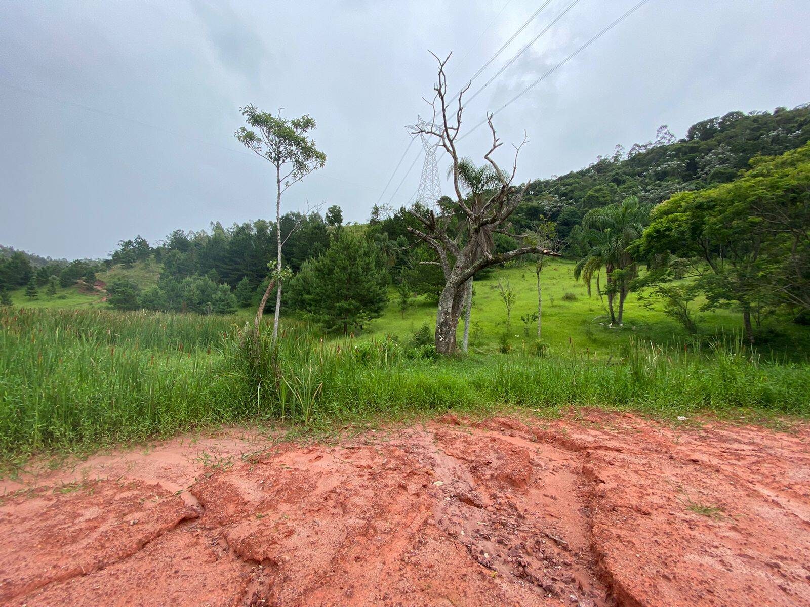 Terreno, 7 hectares - Foto 6