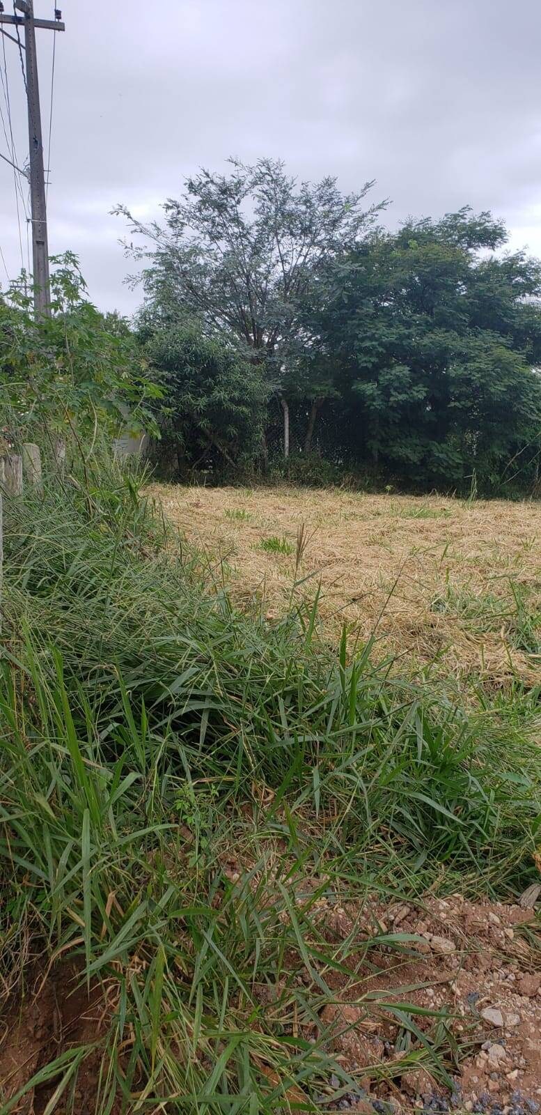 Terreno, 2000 m² - Foto 5
