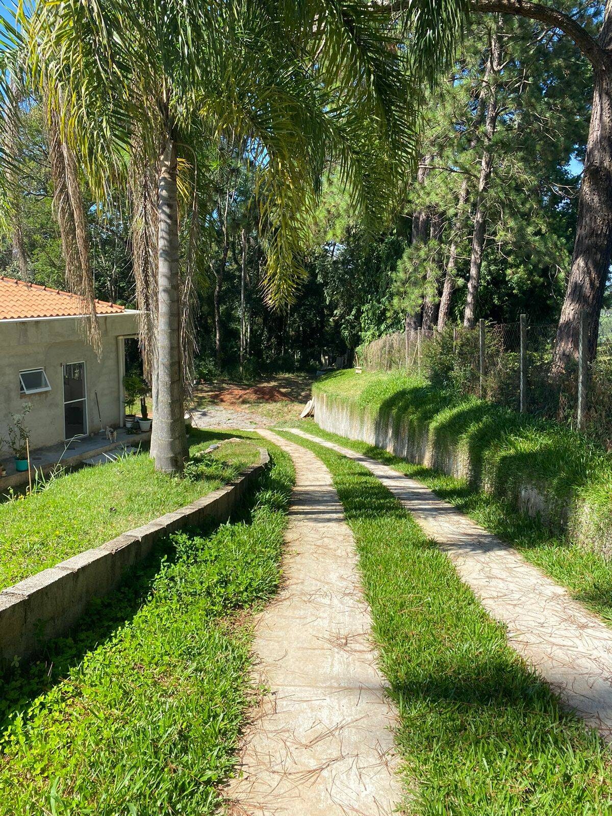 Chácara, 6 quartos, 3140 m² - Foto 61
