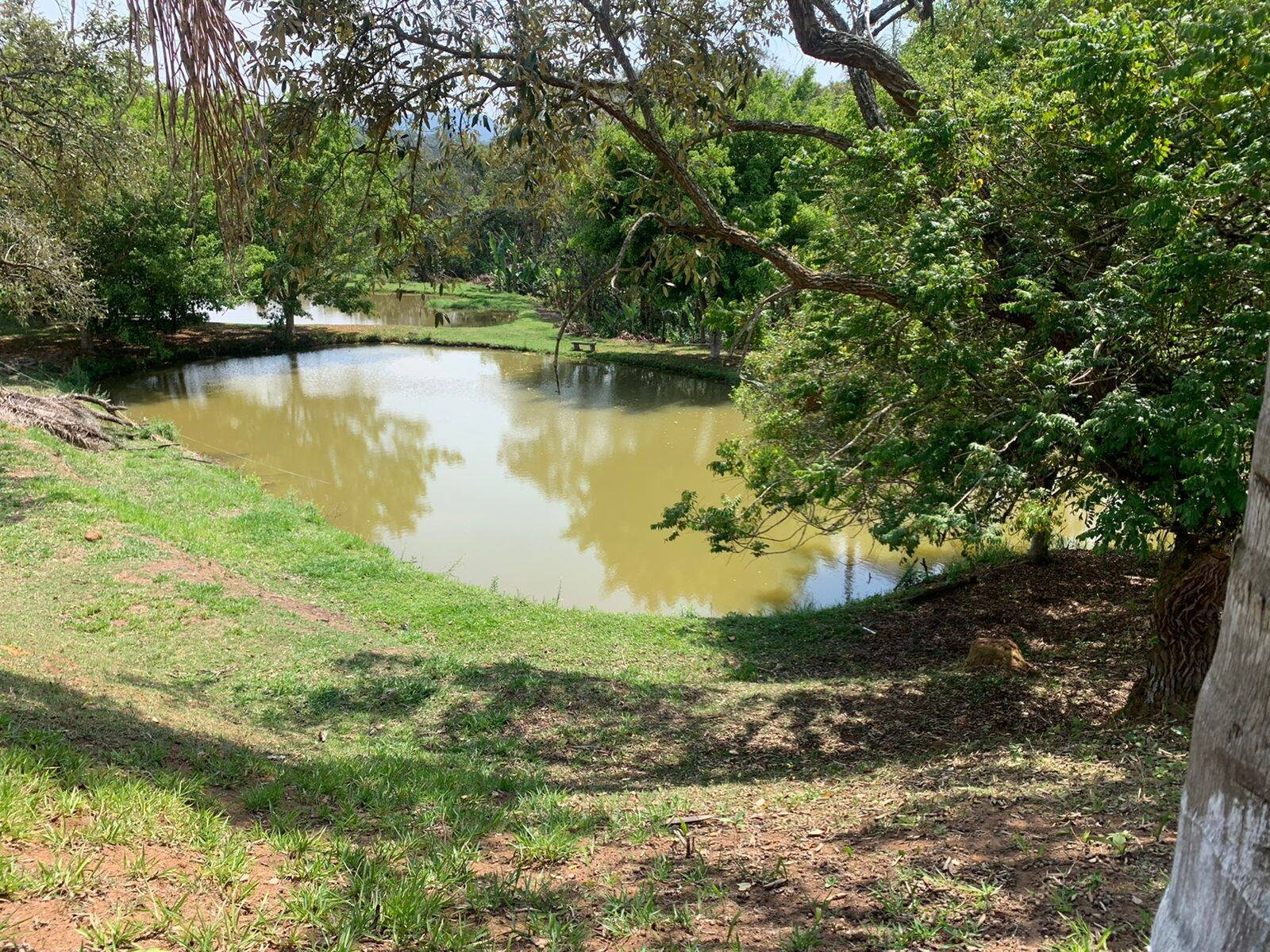 Sítio, 4 quartos, 5 hectares - Foto 28