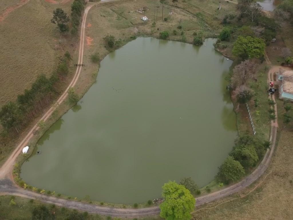 Sítio, 4 quartos, 605 hectares - Foto 39