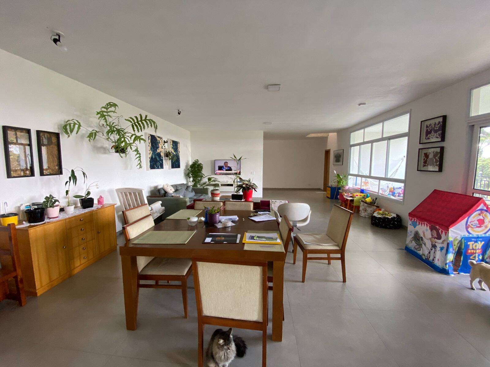 Chácara, 6 quartos, 3140 m² - Foto 19