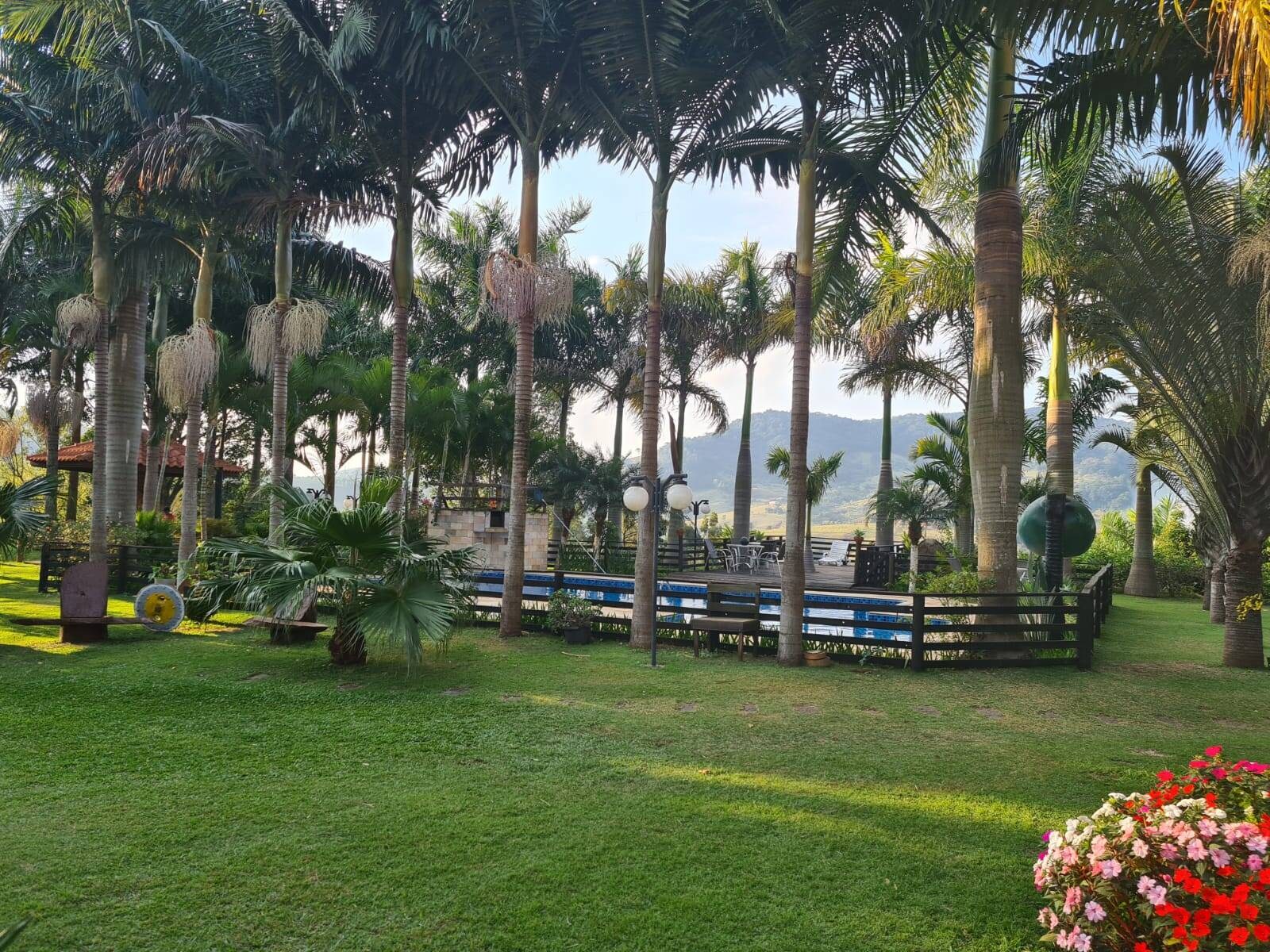 Sítio, 5 quartos, 4 hectares - Foto 18