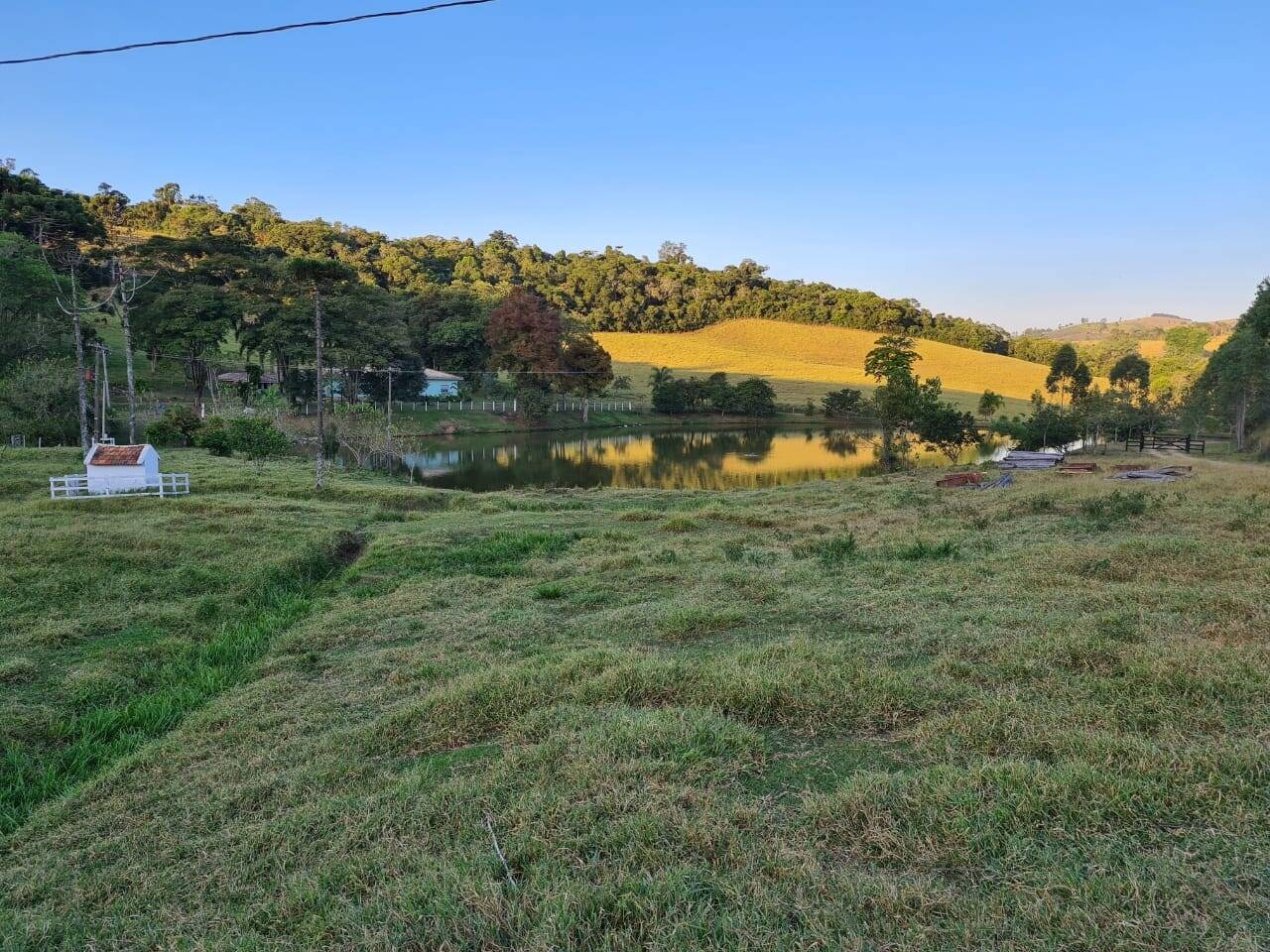 Sítio, 4 quartos, 605 hectares - Foto 34