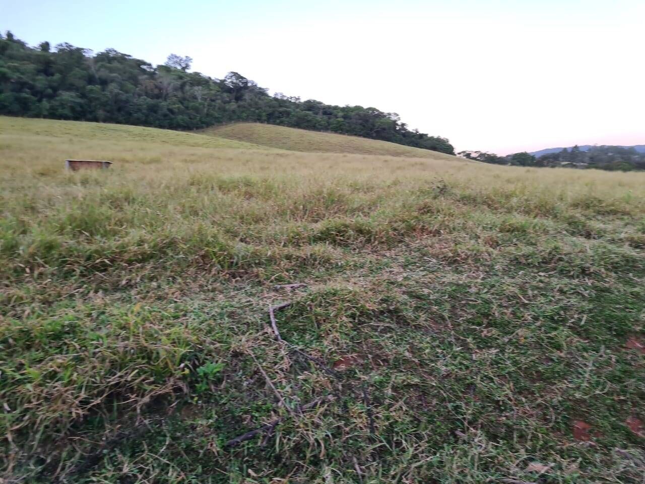 Sítio, 4 quartos, 605 hectares - Foto 4