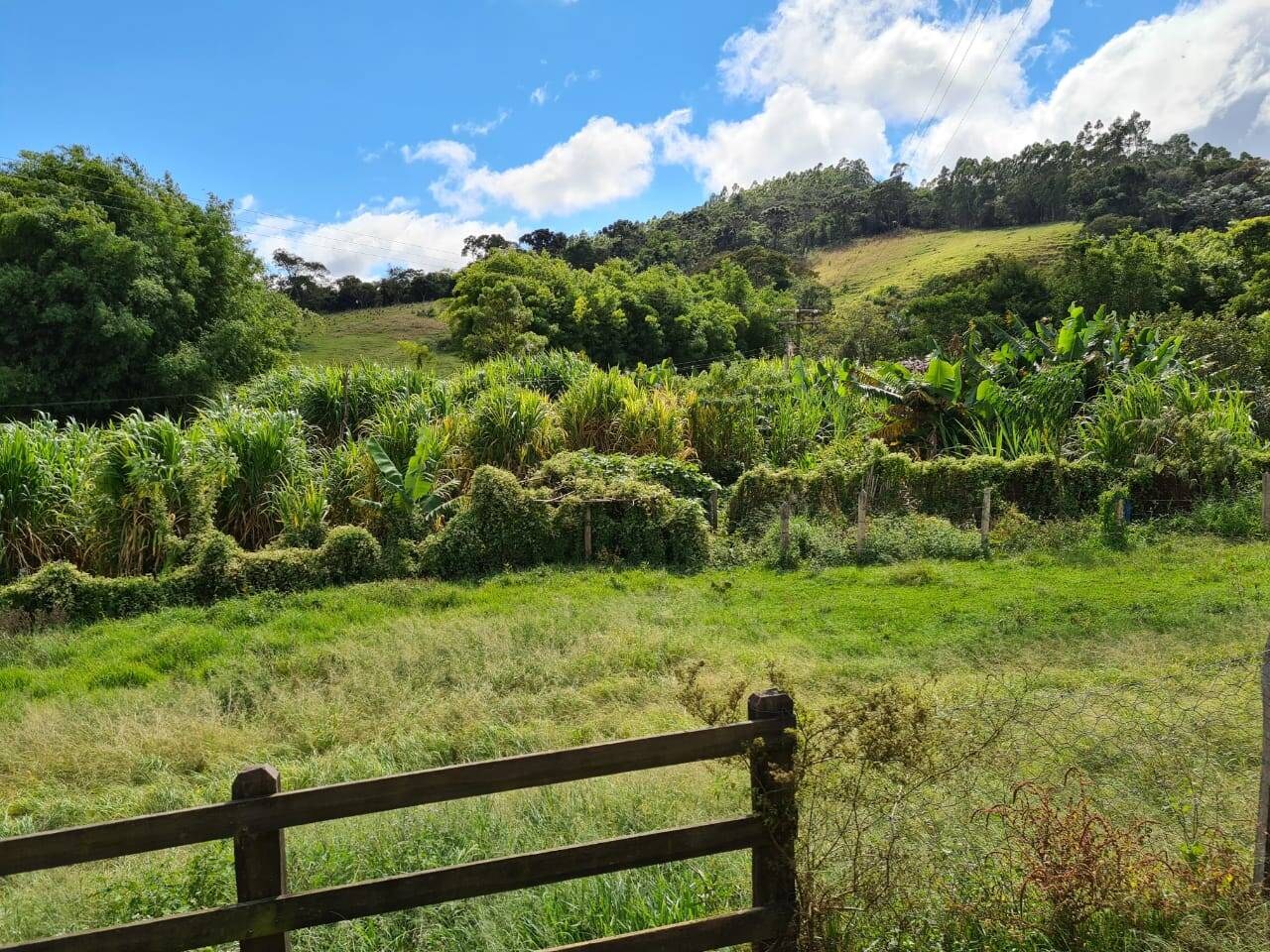 Sítio, 3 quartos, 51 hectares - Foto 13