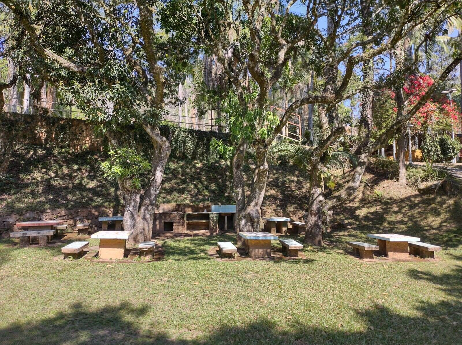 Sítio, 6 quartos, 24 hectares - Foto 6