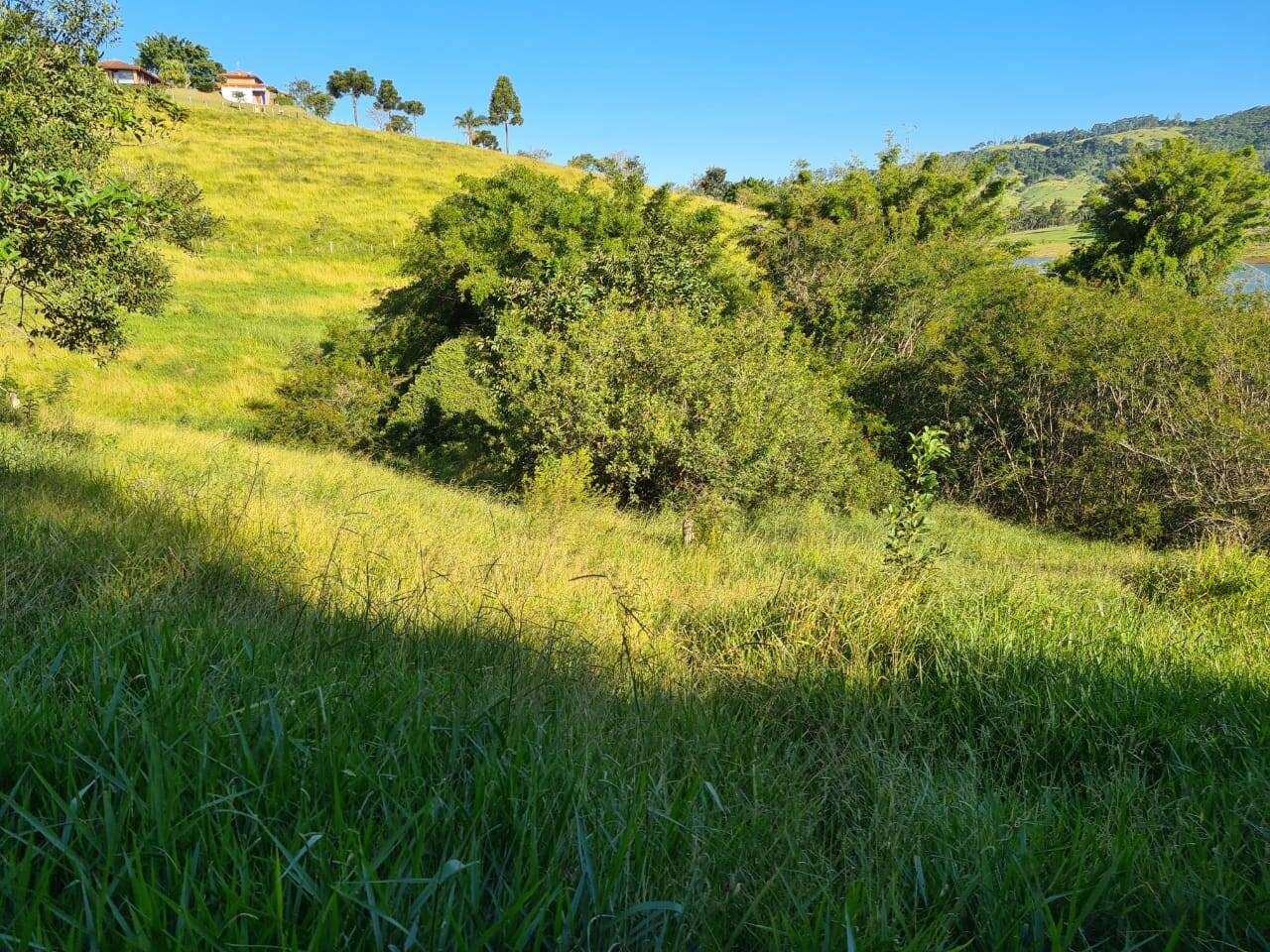 Terreno, 2 hectares - Foto 8