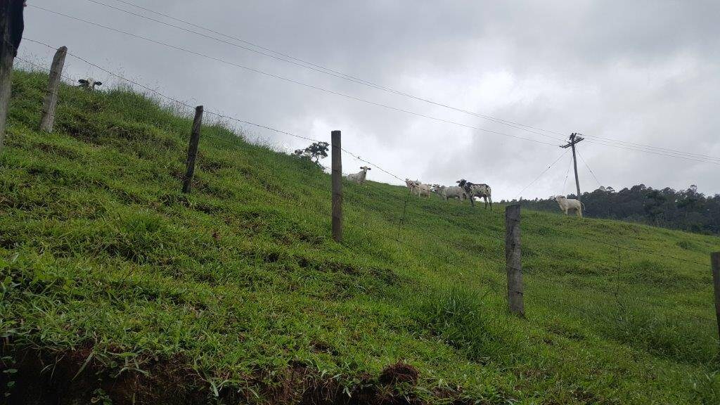 Chácara, 2 quartos, 10 hectares - Foto 7